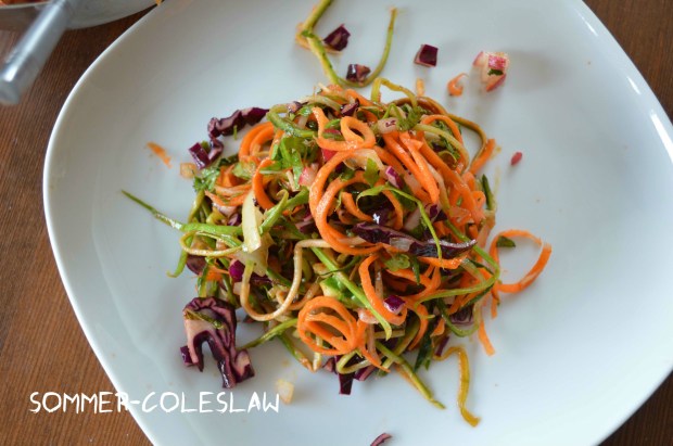 Sommer Coleslaw1