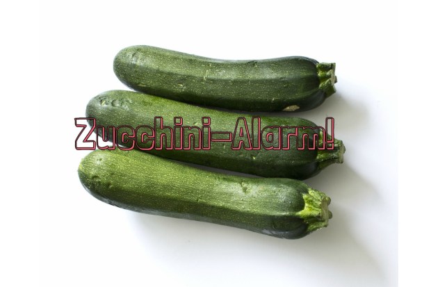 Zucchini